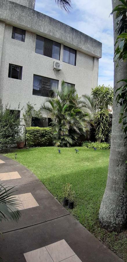 Palmeras Santa Cruz de La Sierra
